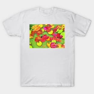 Lily Pad Faces T-Shirt